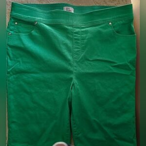 Kim Rogers Vibrant Green Ladys Flat Front Pull Up Shorts Size16